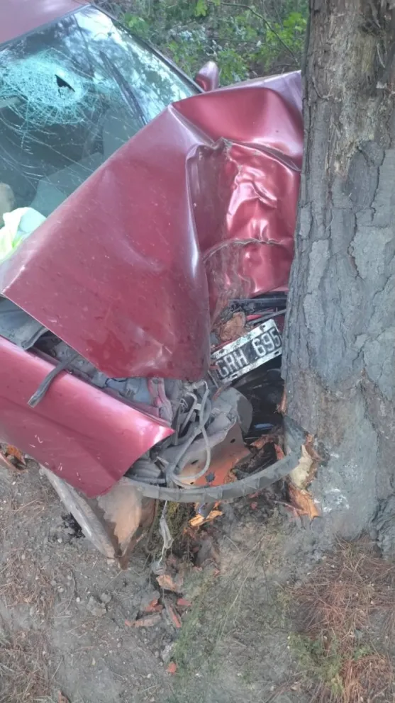 Estado del vehículo.