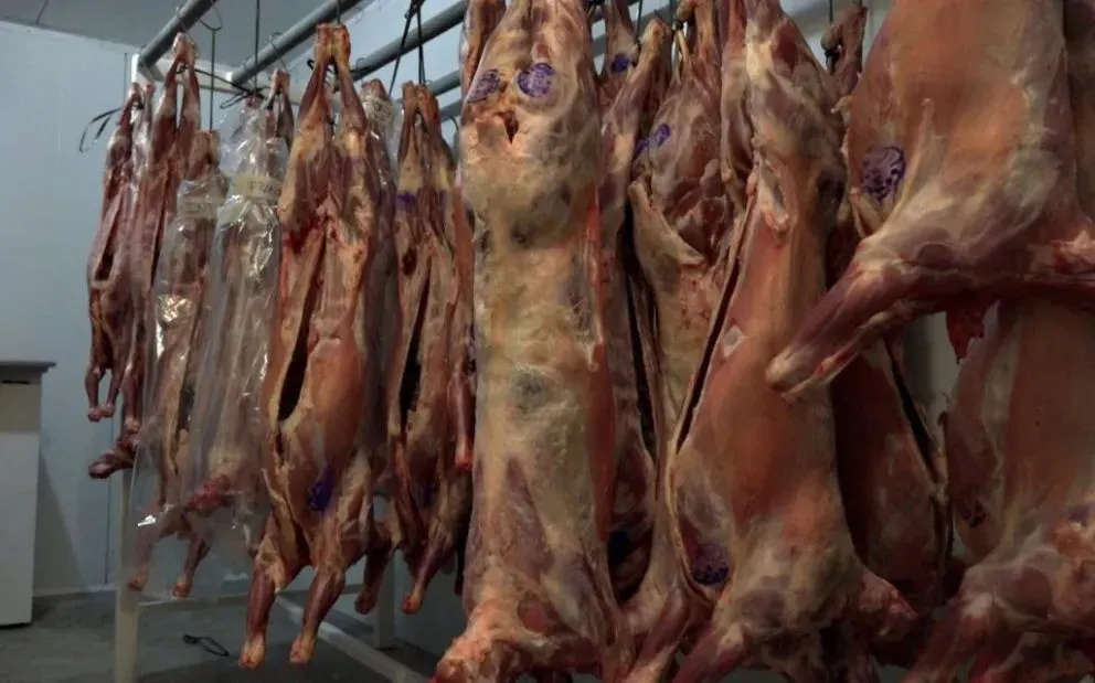 Una opción para las fiestas, con precios accesibles