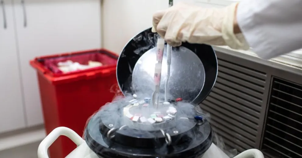 Acordaron qué hacer con el material reproductivo preservado.