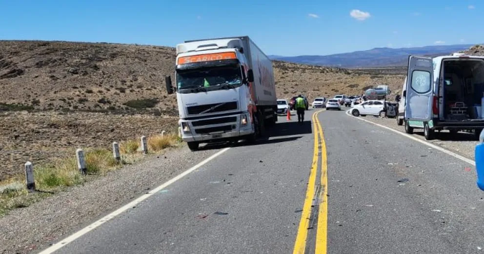 Otros camiones y vehículos particulares permanecen detenidos a la vera de la ruta.