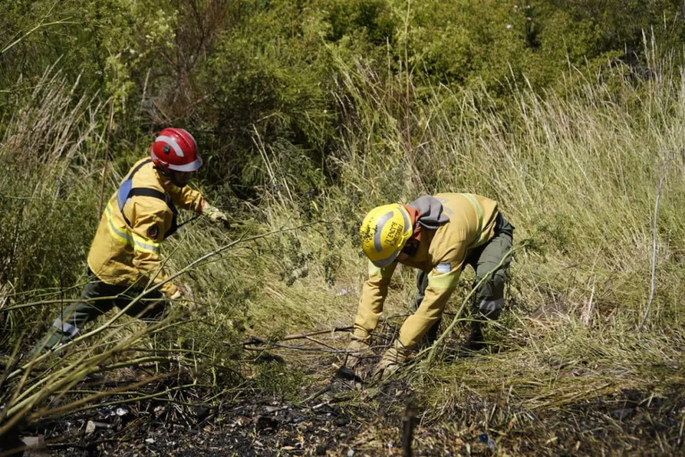 Splif, Bomberos y Protección Civil apagaron el foco y se encuentran realizando tareas de enfriamiento. Fotos: Facundo Pardo 