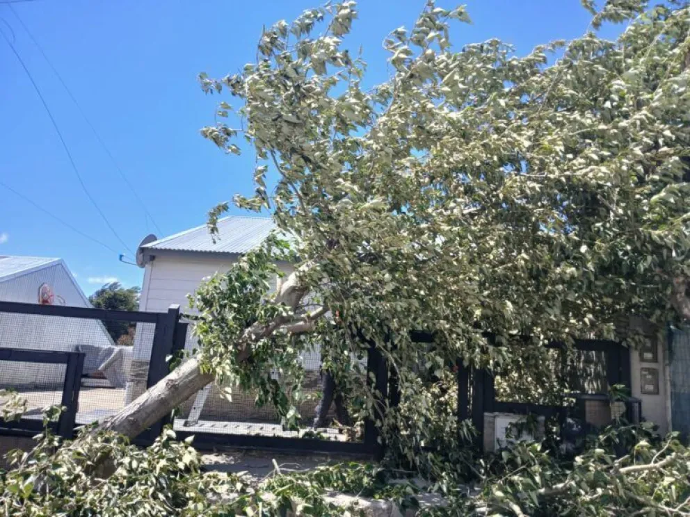 El viento generó inconvenientes en varios barrios de Bariloche. 