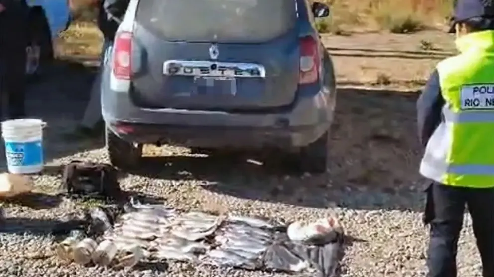 Se labró el acta de infracción y se dio intervención a la autoridad de pesca