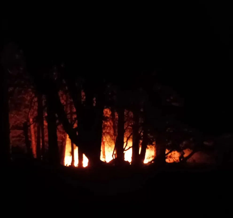 Este domingo se encendieron las alarmas por un foco incendiario en la zona de Ñirihuau.