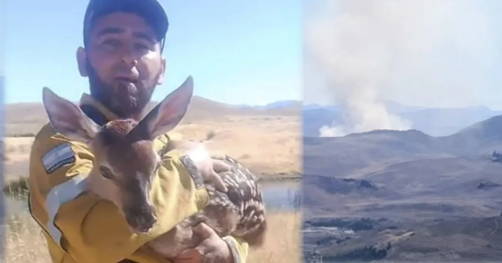 Peke con el animalito rescatado. Foto Roy Cabrera en Contacto con la Gente.