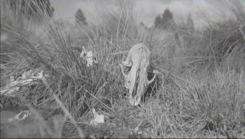 Las profundidades de la estepa patagónica se hicieron música.