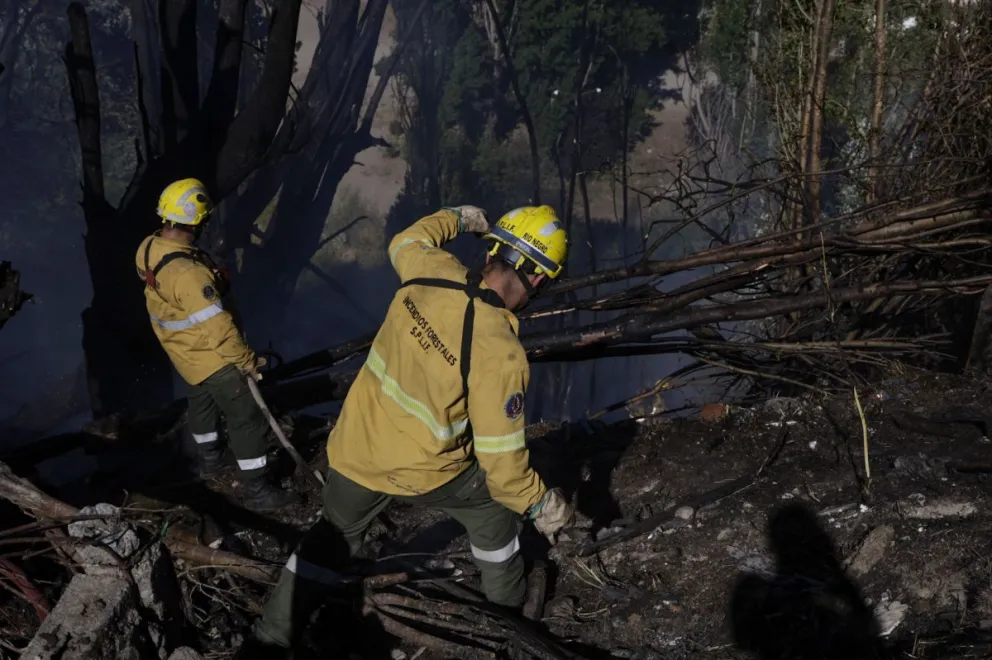 Parte diario de SPLIF