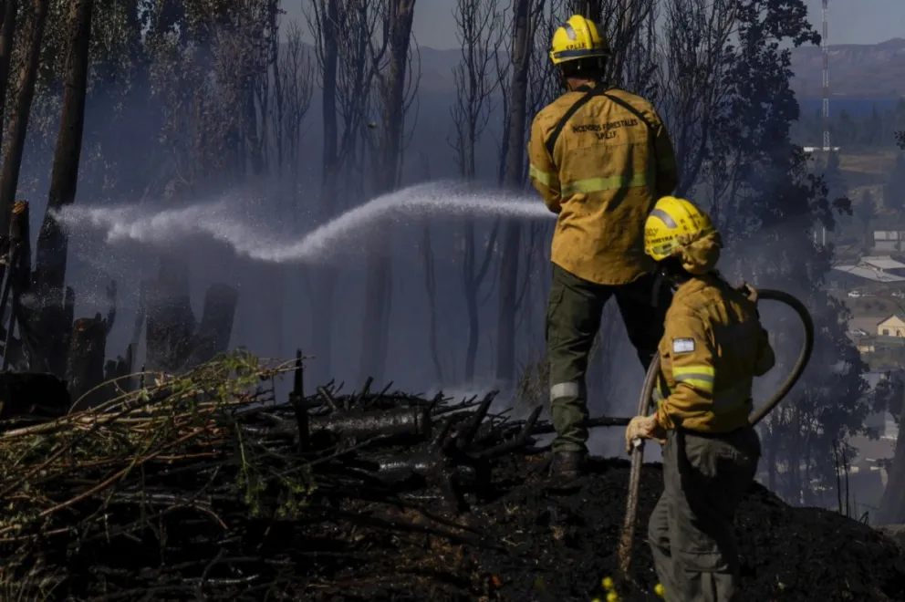 Parte diario de SPLIF. 