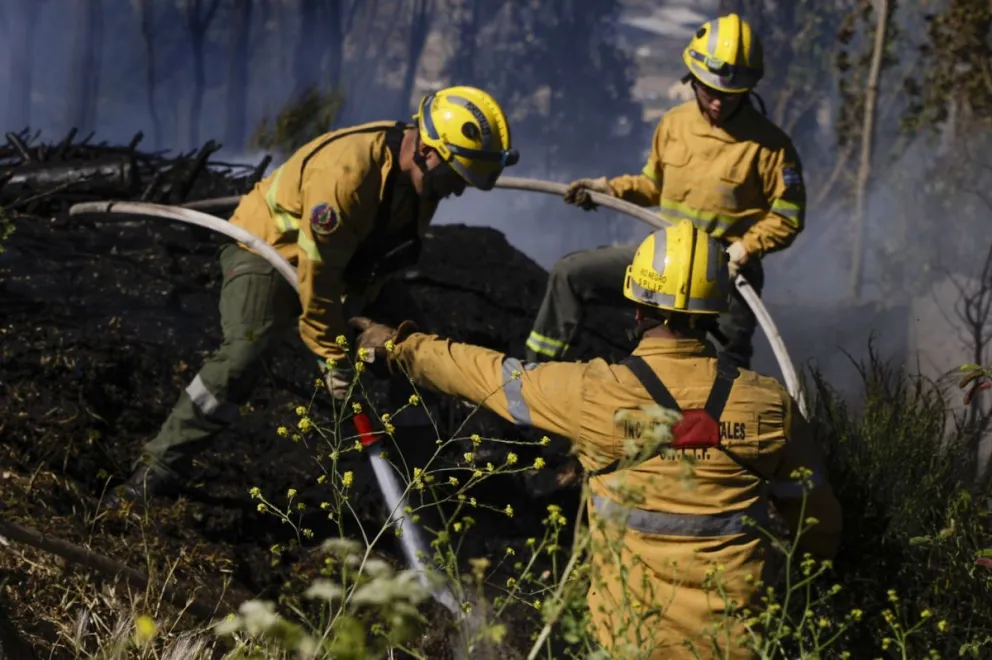 Parte diario de SPLIF. 