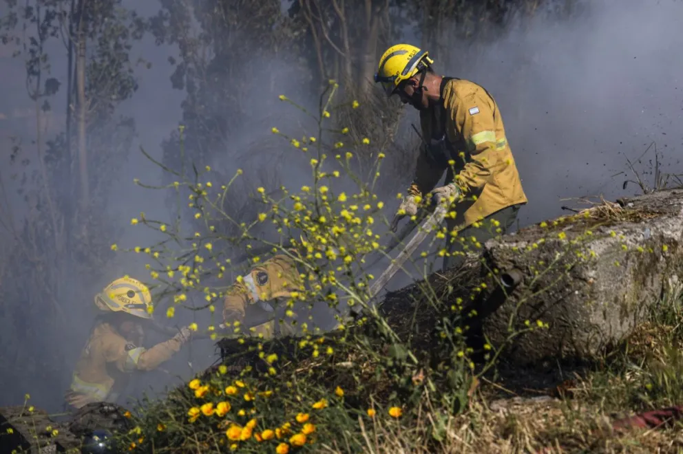 Parte diario de SPLIF 