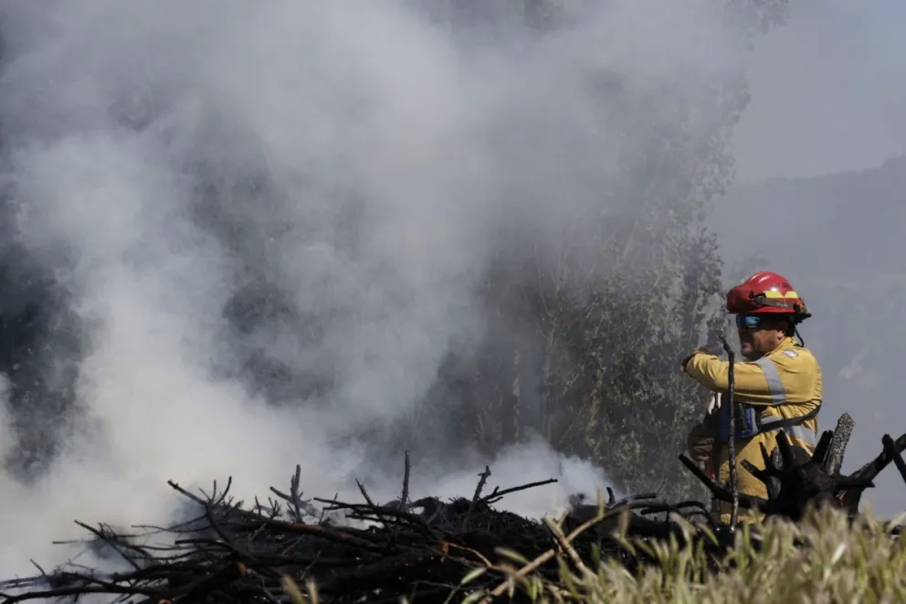 Recordaron que ante la detección de una columna de humo o cualquier situación que pueda representar peligro, se debe dar aviso inmediato al 103 / Foto Euge Neme