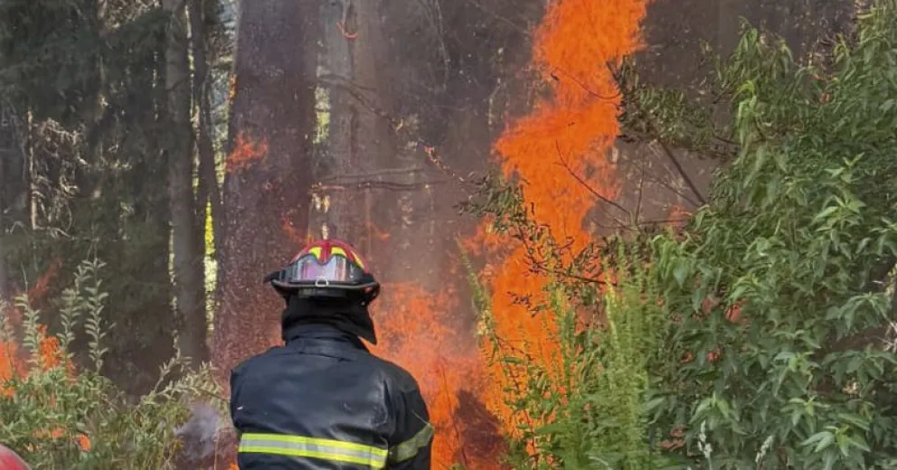 Lograron contenerlo a tiempo.