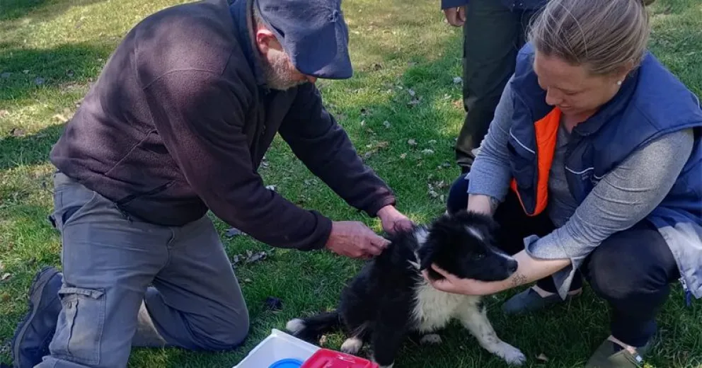 Será este jueves en la Comisión de Fomento de Villa Mascardi.