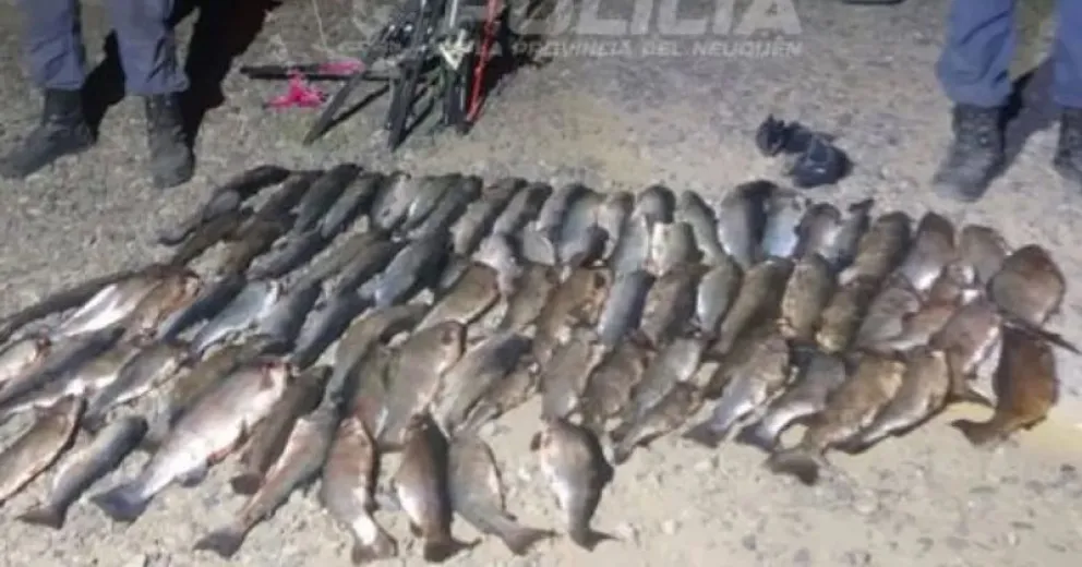 Es habitual que realicen esta clase de controles y operativos.