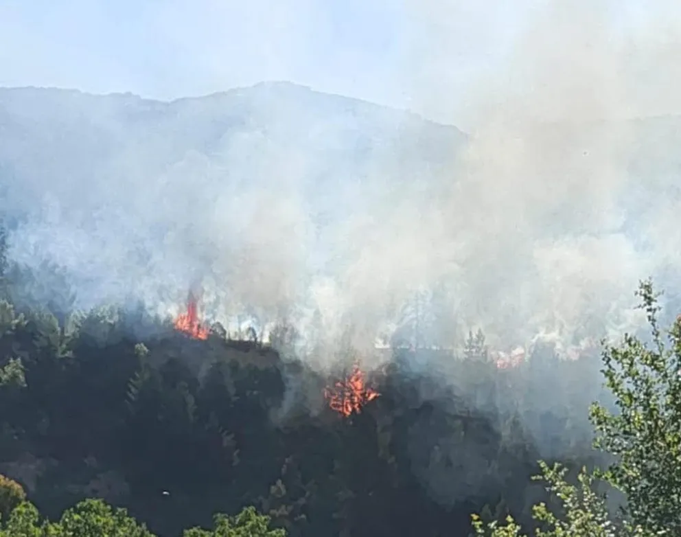 La imagen fue aportada por un lector al medio Noticias Del Bolsón.