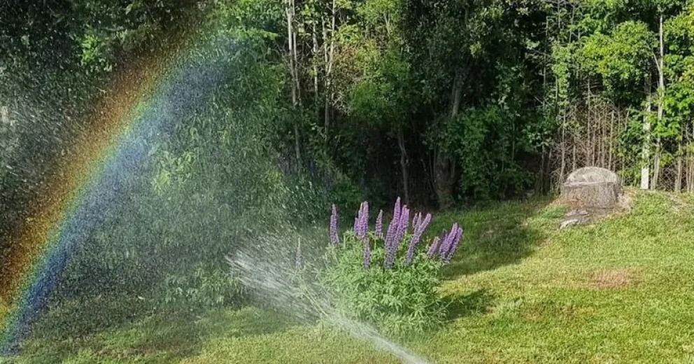 Podrán denunciar a quienes lo hagan fuera de la franja horaria establecida.