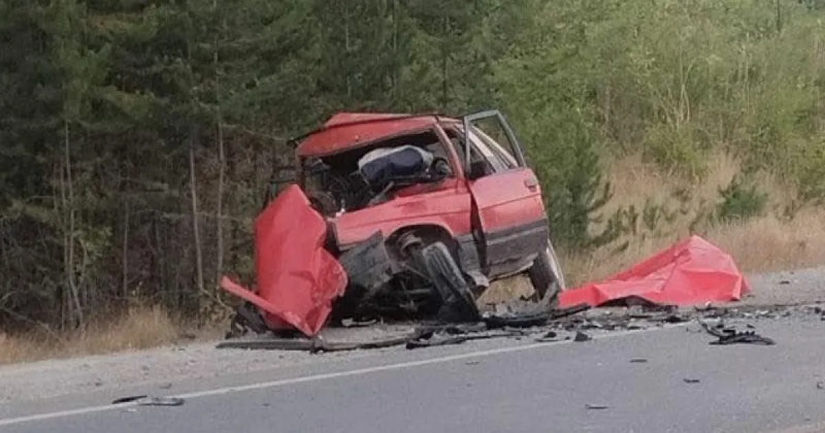 La víctima fatal del choque en la Ruta 40 escapaba del fuego junto a su ...