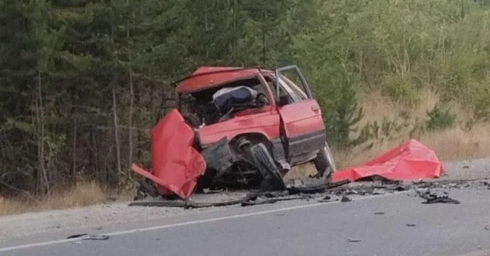 Su mascota logró salvarse. 