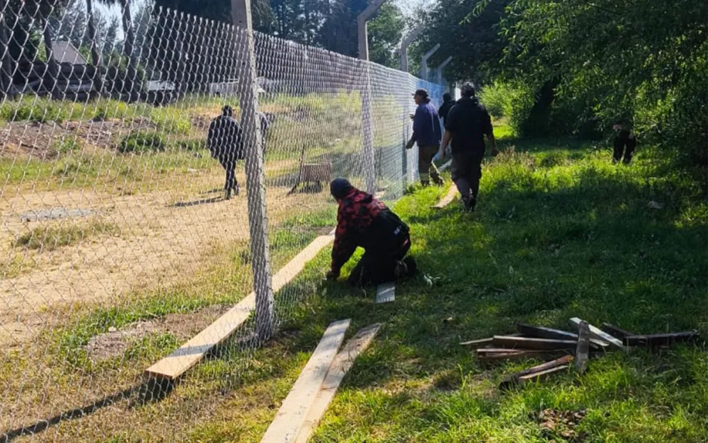 Un cambio histórico para el Vivero Municipal.