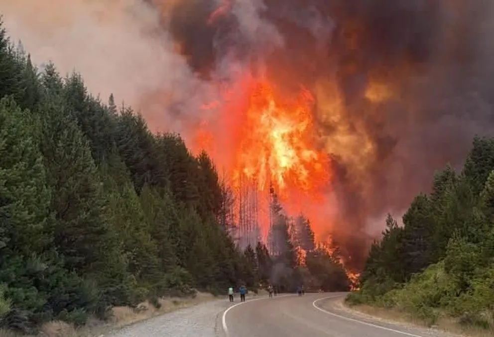 Por la noche, las llamas se aproximaron a la calzada. Foto Vialidad Nacional.