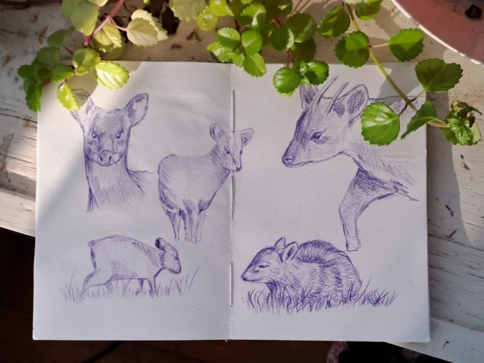 Una propuesta para disfrutar en un entorno único en Bariloche. 