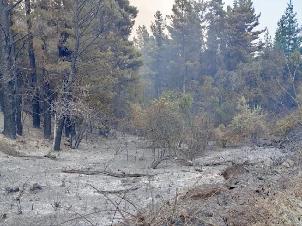 La evolución del incendio en Epuyén continúa siendo monitoreada de manera permanente / Foto Noticias del Bolsón 
