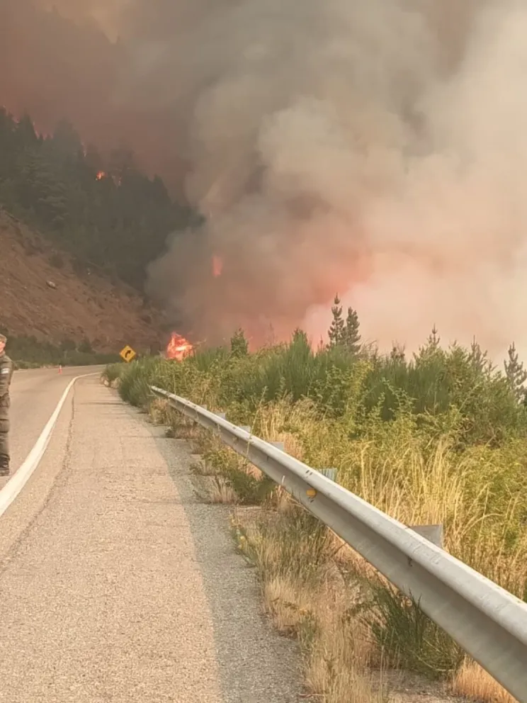 Durante la tarde del jueves, la presencia de humo y el avance del incendio forestal obligaron a interrumpir la circulación. Foto: Vialidad Nacional.