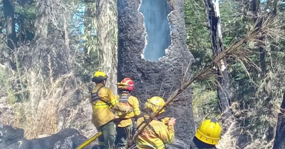 Piden responsabilidad a la comunidad para evitar nuevos focos.