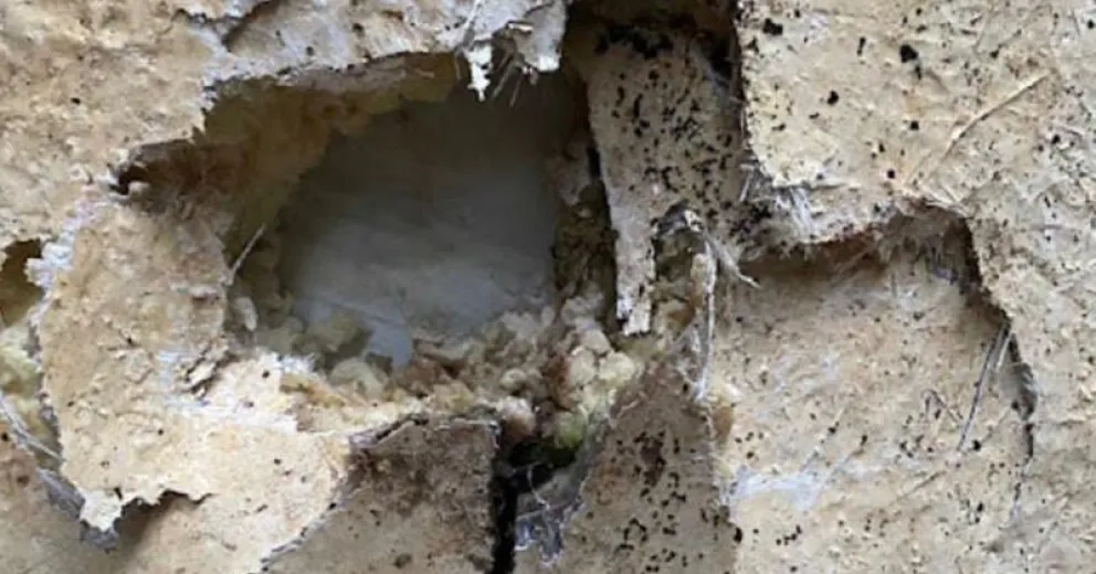 Todo indica que fue intencional.