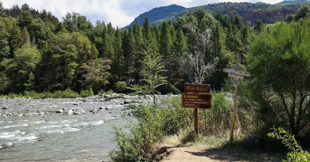 El hecho encendió las alarmas puesto que en ese sector se desató un incendio muy grande el año pasado.