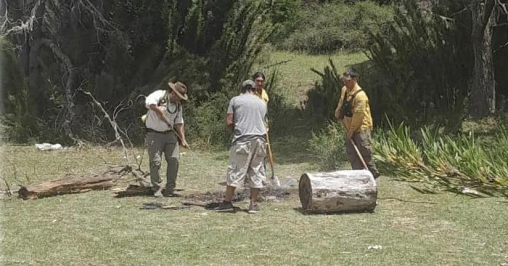 Siguen encontrando infractores.