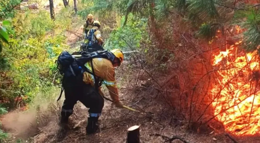 Según consta en la causa, el atacante golpeó al brigadista y luego extrajo una navaja de gran tamaño.