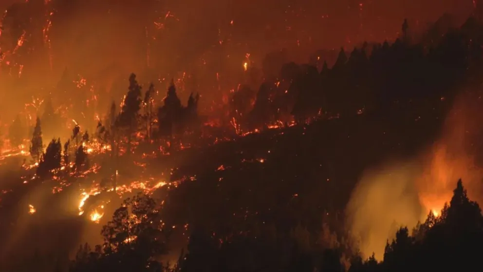 Huisman hizo hincapié en que el fuego suele repetir sus recorridos, expandiéndose sobre áreas ya afectadas.