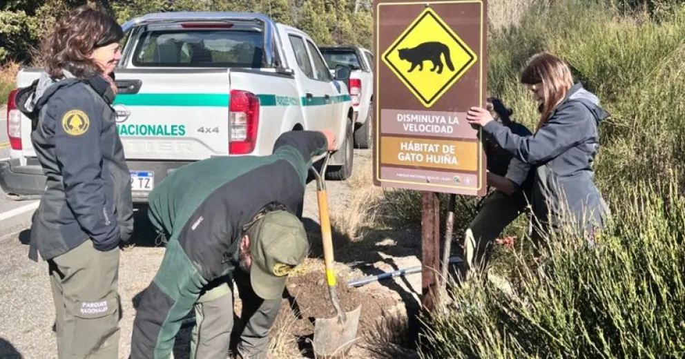 Por un mayor cuidado de la fauna regional.