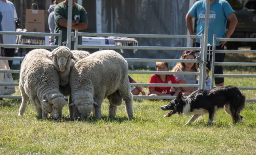 Un gran abanico de propuestas para toda la familia.