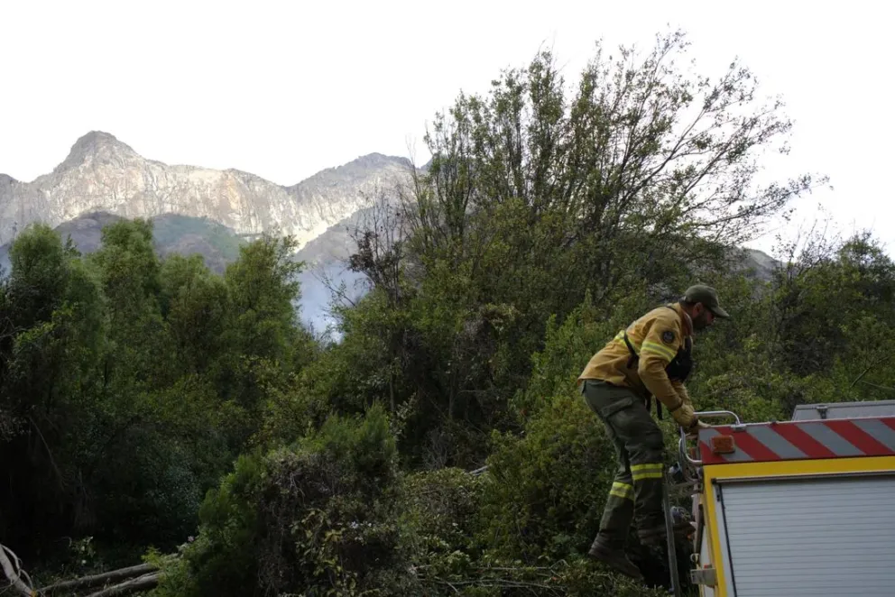 El operativo es coordinado por el Parque Nacional Los Alerces y la Dirección de Lucha contra Incendios Forestales y Emergencias (DLIFE).