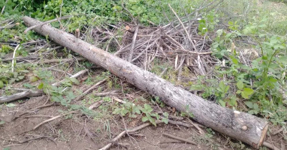 La Policía de Río Negro informó del operativo y detención de los involucrados.