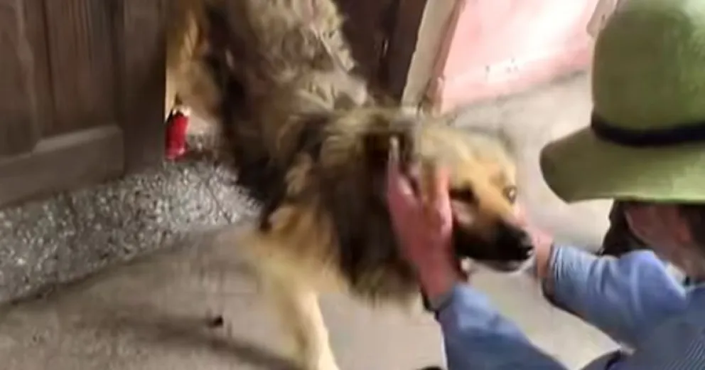 Se vivieron momentos muy emotivos.