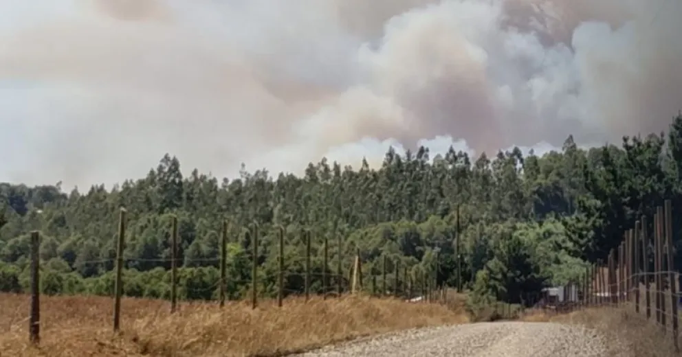 El presidente remarcó que las alertas de evacuación son obligatorias.