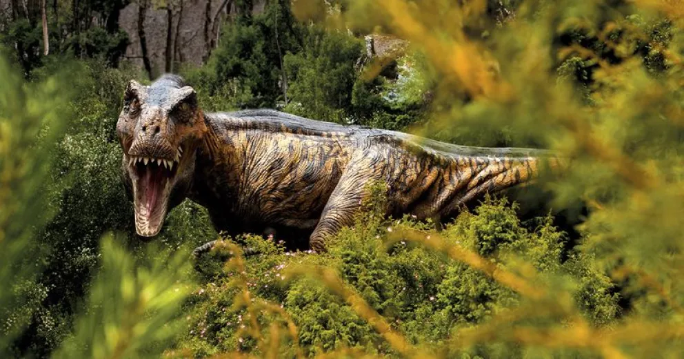 Con réplicas únicas en el país.