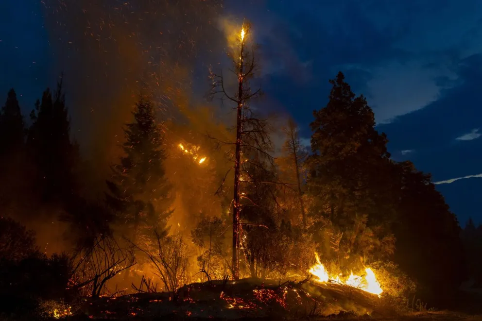 Un incendio de interfase se produce en lugares donde conviven viviendas y bosque. Foto Euge Neme
