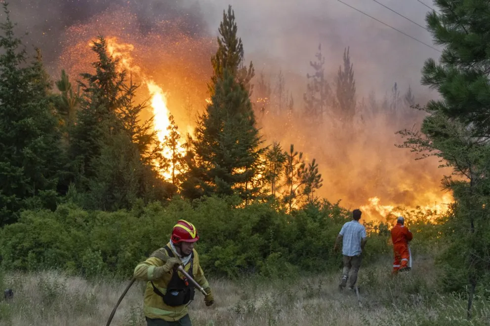 Especialistas del CONICET Patagonia Norte presentan una serie audiovisual que analiza los incendios forestales desde una mirada científica y regional. Foto: Eugenia Neme