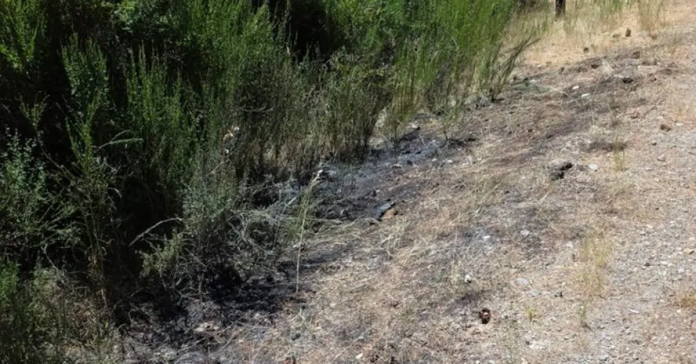 Uno de los focos fue iniciado junto a la vegetación, no dejando dudas de las intenciones.