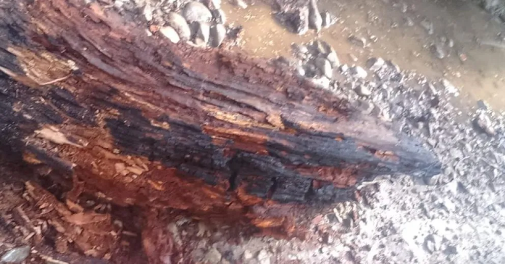 La peligrosidad de no cumplir con la prohibición es muy grande.