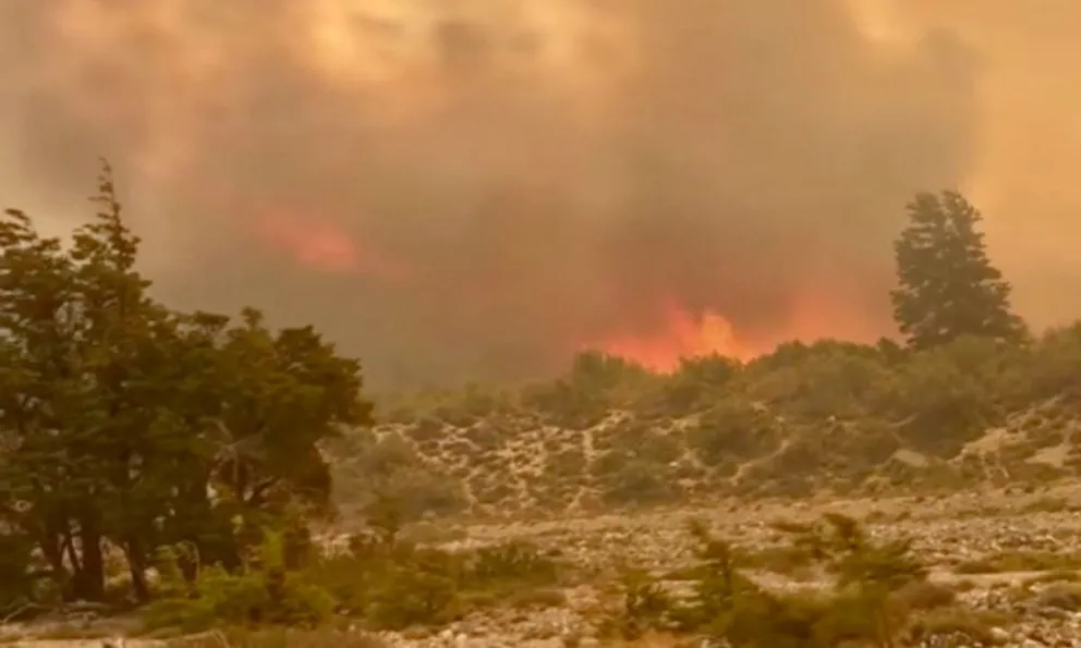 La situación es muy preocupante. Foto: Cholila.online 