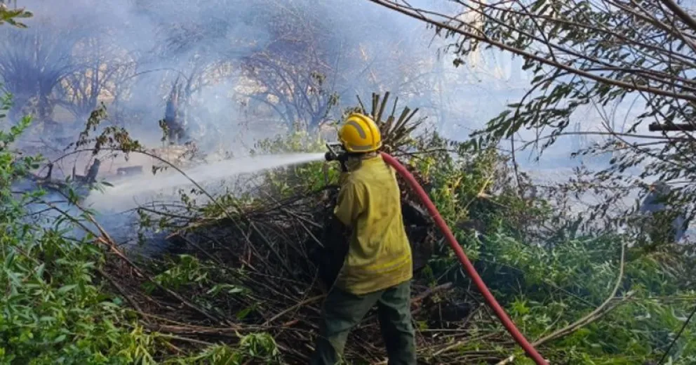También se sumaron al combate helicópteros con helibalde y un avión hidrante.