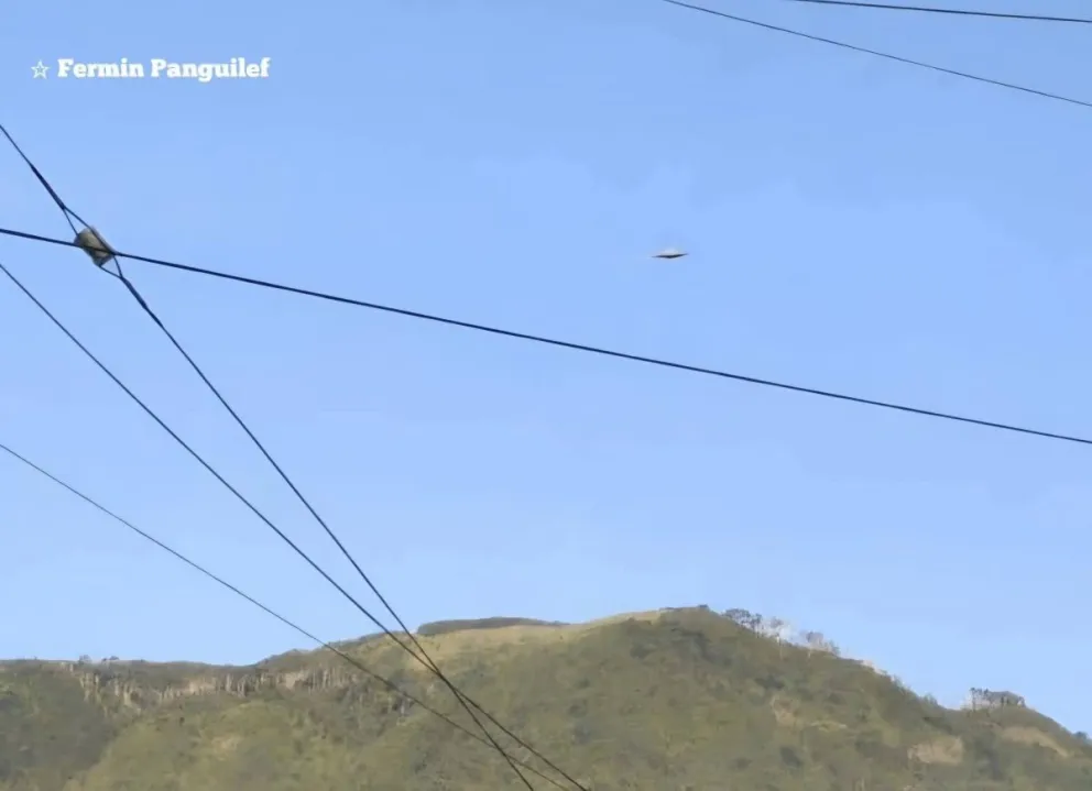 Fue visto en la región de La Araucanía.