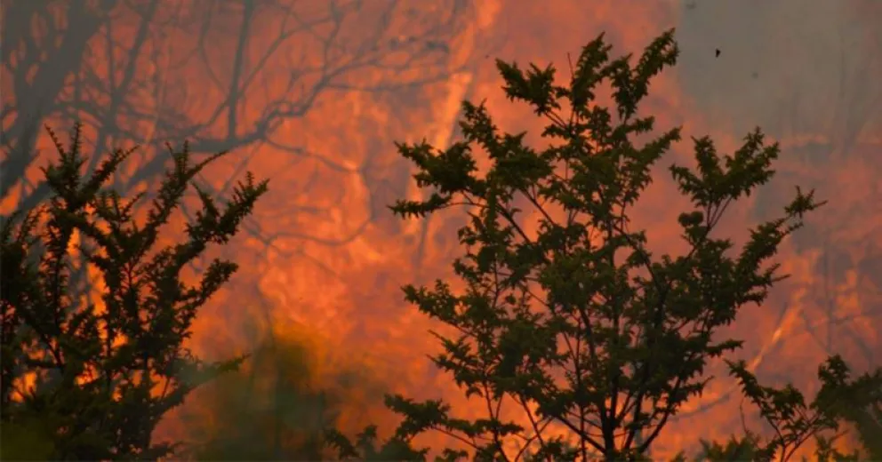 Nada logra detener el avance de las llamas.