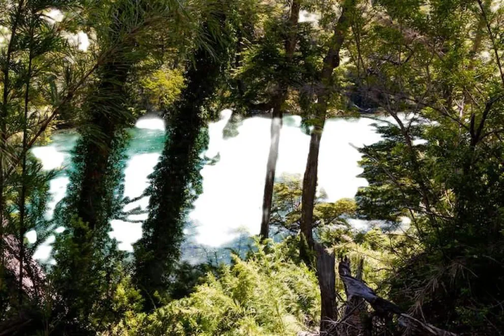 El río Frey, en el PN Los Alerces.