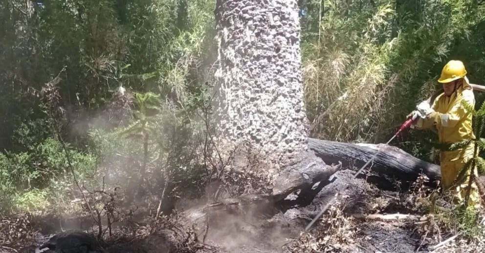 La tarea operativa consistió en ataque directo con herramientas manuales.  Foto PNL.